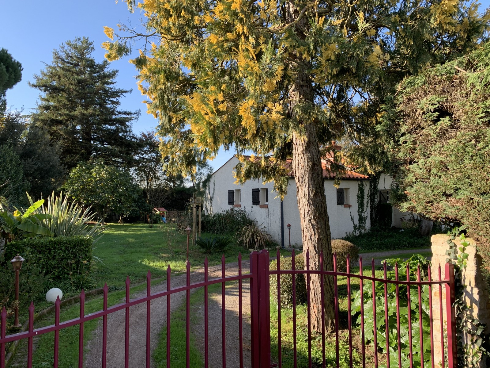 Property image 11