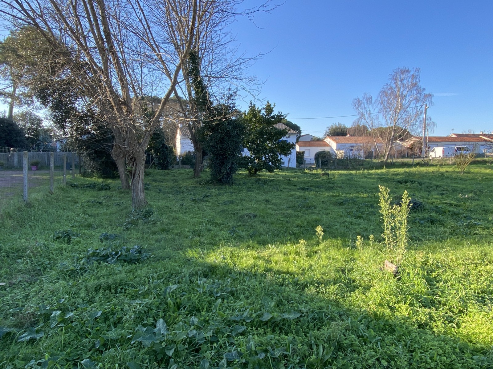 Terrain  JARD-SUR-MER - Photo 1