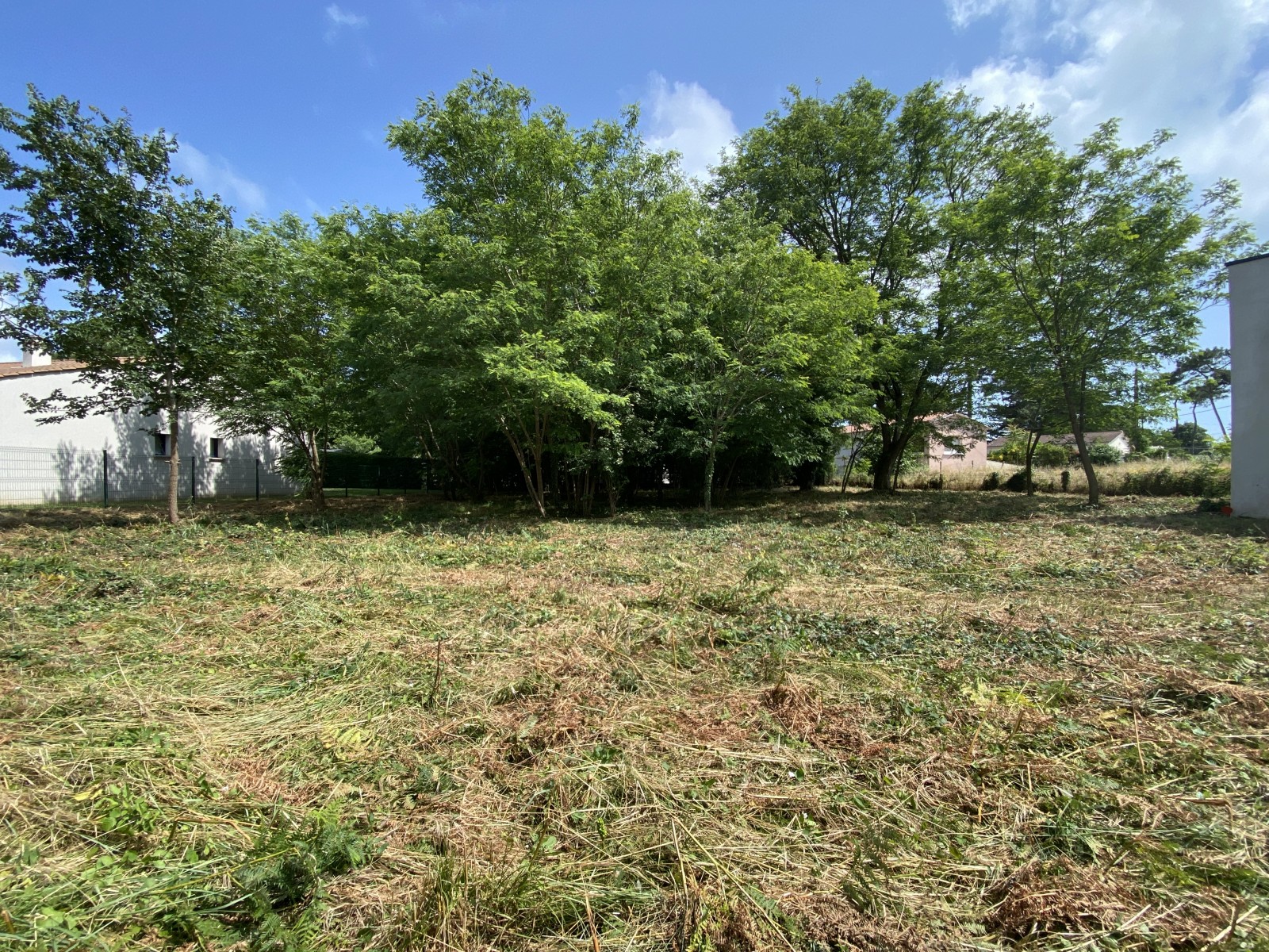 Terrain  JARD-SUR-MER