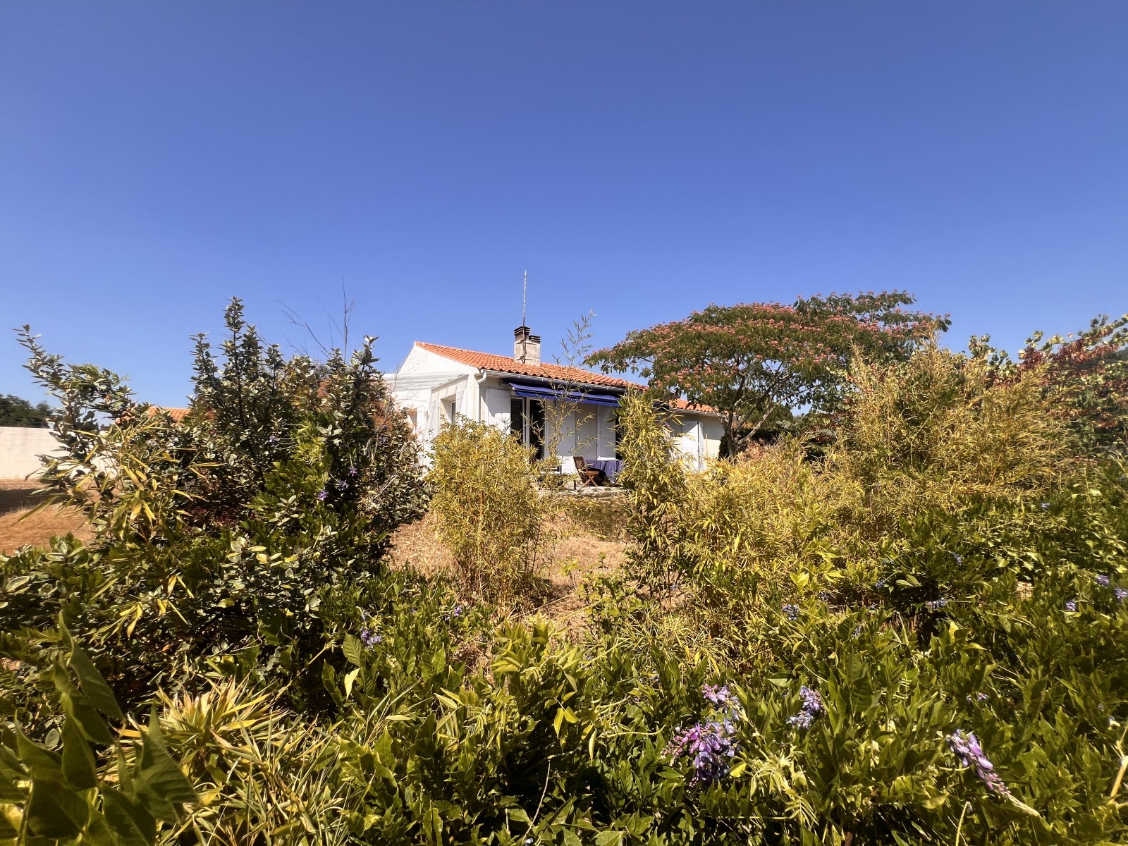 Maison 5 Pièce(s) LONGEVILLE-SUR-MER - Photo 23