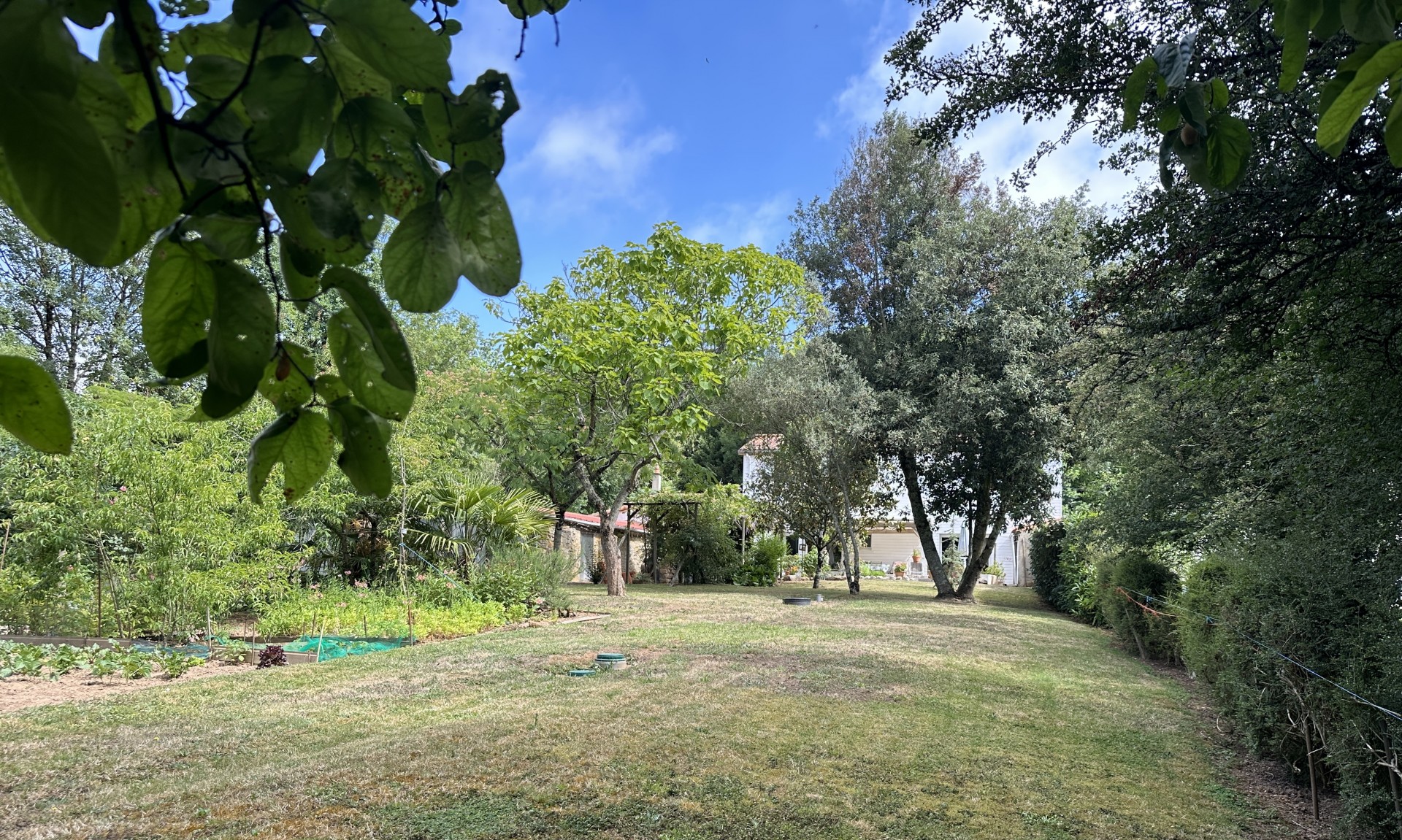 Maison 5 Pièce(s) SAINT-VINCENT-SUR-GRAON - Photo 14