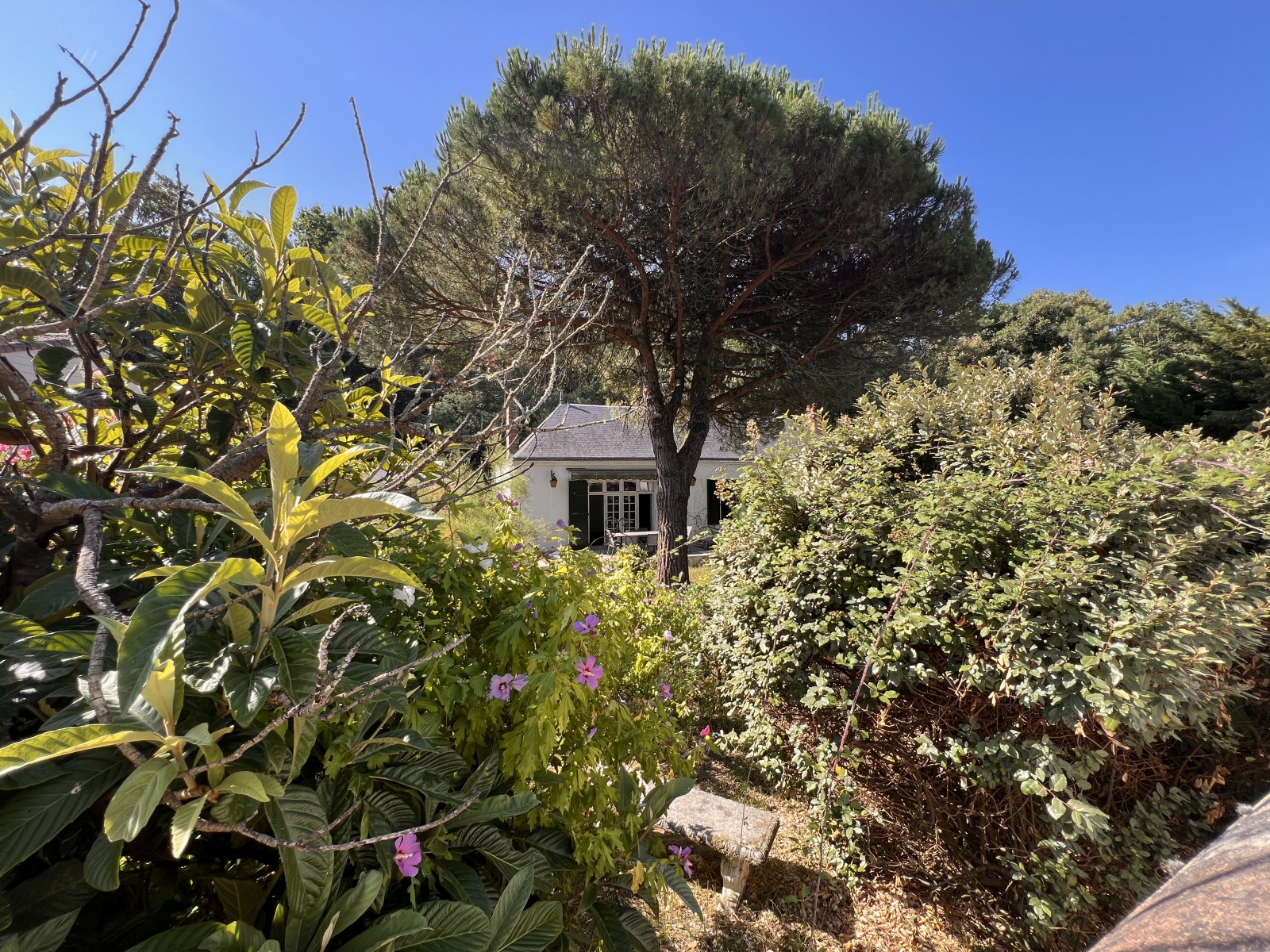 Maison 7 Pièce(s) LONGEVILLE-SUR-MER - Photo 11