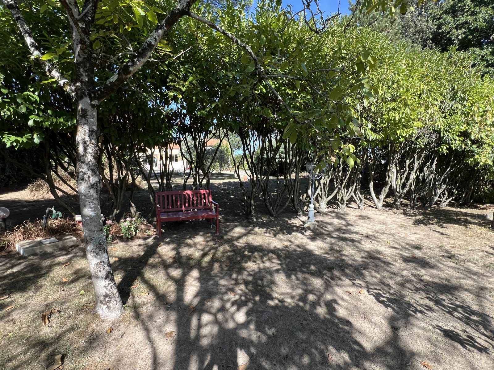Maison 6 Pièce(s) AVRILLE - Photo 14