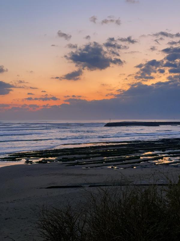 Terrain  JARD-SUR-MER