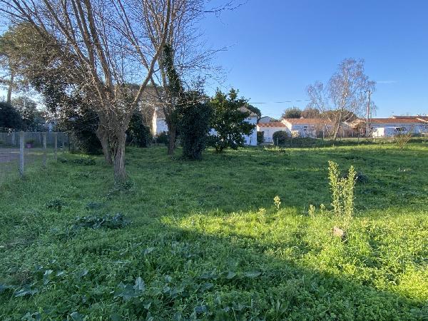Terrain  JARD-SUR-MER